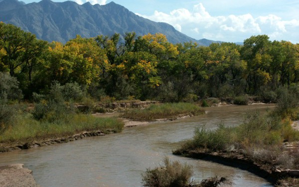 Bosque- Microsoft’s New Programming Language