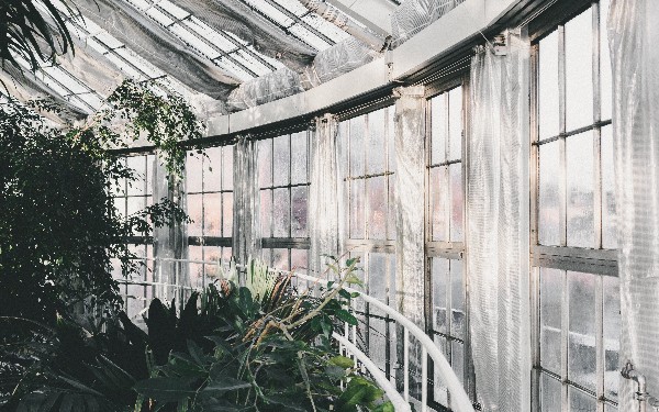 Helping Make Open Source Secure, Compliant, and Sustainable With Jeff...