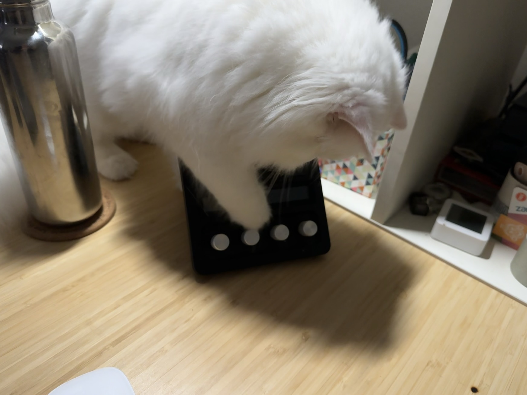 I Replaced My Custom Mac App Audio Routing Solution with Elgato Wave Link 3 and Love It